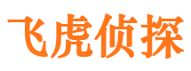 霞浦外遇调查取证